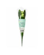 Babyblooms Baby Rosebud met lime babysokjes in de vorm van een roos. Fris en origineel kraamcadeau voor geboorte, babyshower of kraammand.