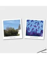 Birdstickers - Bescherm vogels tegen glas | Eenvoudig & duurzaam | Hoezo-Kado