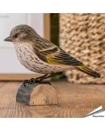 Houtgesneden vogel in de vorm van een Dennensijs is een mooie decoratie waar het hele gezin dol op zal zijn ✔️ Levensecht vorm- en kleur gegeven model ➤ Koop nu online bij Hoezo-Kado