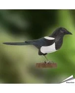 DecoBird Ekster van hout met zwart-witte kleurverdeling, lange staart en blauwgroene accenten. Decoratieve vogel voor binnen van Wildlife Garden.