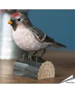 Grote barmsijs (Acanthis flammea) - Decobird van Wildlife Garden - Koop online op Hoezo-Kado