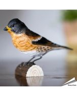 Keep (Fringilla montifringilla) - Decobird van Wildlife Garden - Koop online op Hoezo-Kado