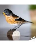 Houtgesneden vogel in de vorm van een keep is een mooie decoratie waar het hele gezin dol op zal zijn ✔️ Levensecht vorm- en kleur gegeven model ➤ Koop nu online bij Hoezo-Kado