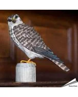 Houtgesneden vogel in de vorm van een Smelleken is een mooie decoratie waar het hele gezin dol op zal zijn ✔️ Levensecht vorm- en kleur gegeven model ➤ Koop nu online bij Hoezo-Kado