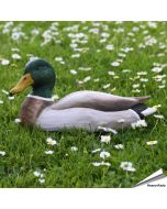 Houtgesneden vogel - Wilde Eend (Woerd)