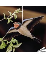 DecoBird - Boerenzwaluw | Houtgesneden vogel