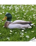 Houtgesneden vogel - Wilde Eend (Woerd)