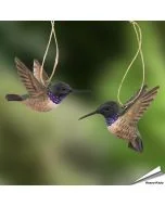 Set van 2 DecoBird Zwartkinkolibries van Wildlife Garden, handgesneden uit hout met uitgespreide vleugels, lange snavel en paarse keelband.