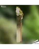 DecoClip - Kikker