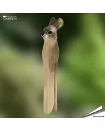 DecoClip - Konijn - Houten wasknijper