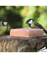 Koolmezen op de Energieblok met bessen (280g)