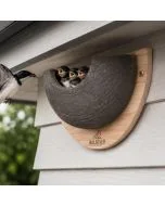 Enkele Nestkast voor de Huiszwaluw ✔️ 100% Natuurlijke materialen ✔️ Met grote nestschaal ✔️ Duurzaam en Weerbestendig ✔️Help de huiszwaluwpopulatie ➤ Koop nu in onze onlineshop
