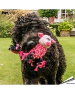 Hondenspeeltje - Farmyard Buddies - Noodle Pig