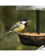 Gedroogde meelwormen voor dieren van Aniculis ✔️ Zorgvuldig gedroogd ✔️ Rijk aan eiwitten ✔️ 100% natuurproduct ✔️ 200g verpakking ✔️ Bestel online op www.hoezo-kado.nl