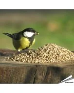 Kempzaad - Tuinvogelvoer voor wilde vogels - Hoezo-Kado