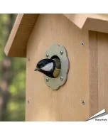 Bescherm je nestkast tegen uithakken met ons invliegplaatje (rozet) ✔️ Verkleint de invliegopening op 32mm ✔️ Gemaakt van roestvrij staal ✔️ Geschikt voor koolmezen en andere tuinvogels ✔️ Bestel nu op Hoezo-Kado
