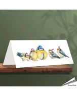 Kerstkaart met leuke pimpelmezen - Voor natuurliefhebbers - www.hoezo-kado.nl