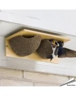 Dubbele nestkast voor de huiszwaluw ✔️ Aanbevolen door Vogelbescherming NL ✔️ FSC-gecertificeerd houtbeton / hout ✔️ Kunstnest ✔️ Koop nu bij Hoezo-Kado
