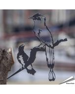 Metalbird - Blauwkapmotmot en Geelbrauwspecht (cortenstaal)