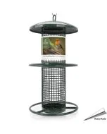 Metalen pindasilo voor tuinvogels - 260mm (groen)