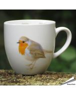 Mok - Roodborstje 'Elwin van der Kolk'