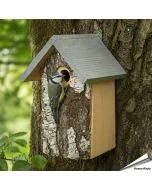 Berken nestkast met natuurlijke uitstraling ✔️ Bootst een natuurlijke boomholte na ✔️ Ideaal voor tuinvogels zoals de pimpelmees ➤ Ontdek meer bij Hoezo-Kado