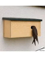 Speciale nestkast voor de gierzwaluw ✔️ Ovale invliegopening (60 x 30 mm) ✔️ FSC-gecertificeerd hout ✔️ Eenvoudig te plaatsen en reinigen ✔️ Koop bij Hoezo-Kado