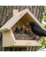 Nestkast voor merels ✔️ Onbehandeld massief hout ✔️ Geschikt voor halfholenbroeders✔️ Weerbestendig ➤ Koop nu bij Hoezo-Kado.nl