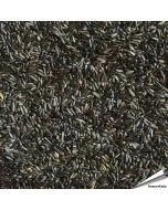 Nigerzaad 