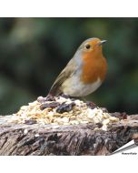 Premium - Vetmengsel voor tuinvogels