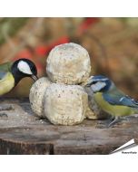 Premium vetbollen van Aniculis met insecten en meelwormen