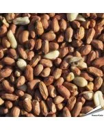 Premium pinda's voor tuinvogels - www.hoezo-kado.nl