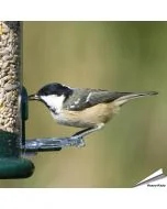 Ring-Pull voederringen voor voedersilo's