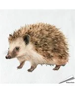 Servetten Egel | 20 stuks | FSC & 3-laags | Hoezo-Kado