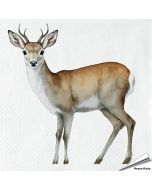 Papieren Servetten Ree | FSC-papier, 3-laags | Hoezo-Kado