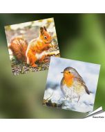 Servetten - Roodborst - Eekhoorn (20 stuks)