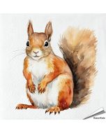 Servetten Eekhoorn | 20 stuks | FSC & 3-laags | Hoezo-Kado