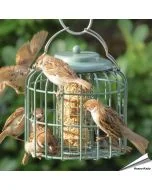 Stijlvolle vetblokhouder met beschermkooi in zeegroen ✔️ Ideaal voor kleine tuinvogels ✔️ Weerbestendig & eenvoudig te reinigen ➤ Nu kopen bij Hoezo-Kado!