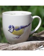 Mok - Pimpelmees 'Elwin van der Kolk'