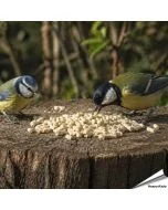 Plantaardige vet pellets vol energie voor tuinvogels ✔️ Ideaal voor het hele jaar door voeren ✔️ Smakelijke traktatie voor roodborstjes en merels ➤ Koop in de Hoezo-Kado Shop