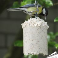 Pindacake voor tuinvogels - Vogelbescherming - Original (500ml)