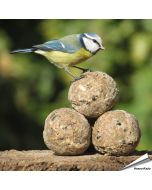 Premium vetbollen - Insectenvet