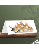 Kerstkaart met leuke Roodborstjes - Voor natuurliefhebbers - www.hoezo-kado.nl