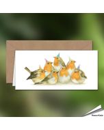 Verjaardagskaart met roodborstjes - Voor natuurliefhebbers - www.hoezo-kado.nl
