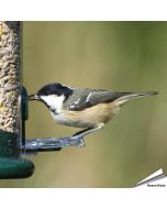 Ring-Pull voederringen voor voedersilo's