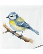 Servetten Pimpelmees| 20 stuks | FSC & 3-laags | Hoezo-Kado