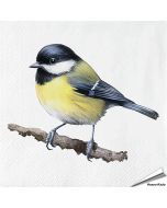 Servetten Koolmees| 20 stuks | FSC & 3-laags | Hoezo-Kado