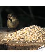 Table Top-Mix met Anijszaad