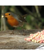 Traktatie-Mix - Insecten & bessen