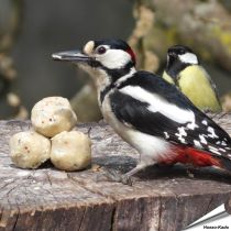 Kleine mezenbollen voor wilde vogels - Tuinvogelvoer - Hoezo-Kado
